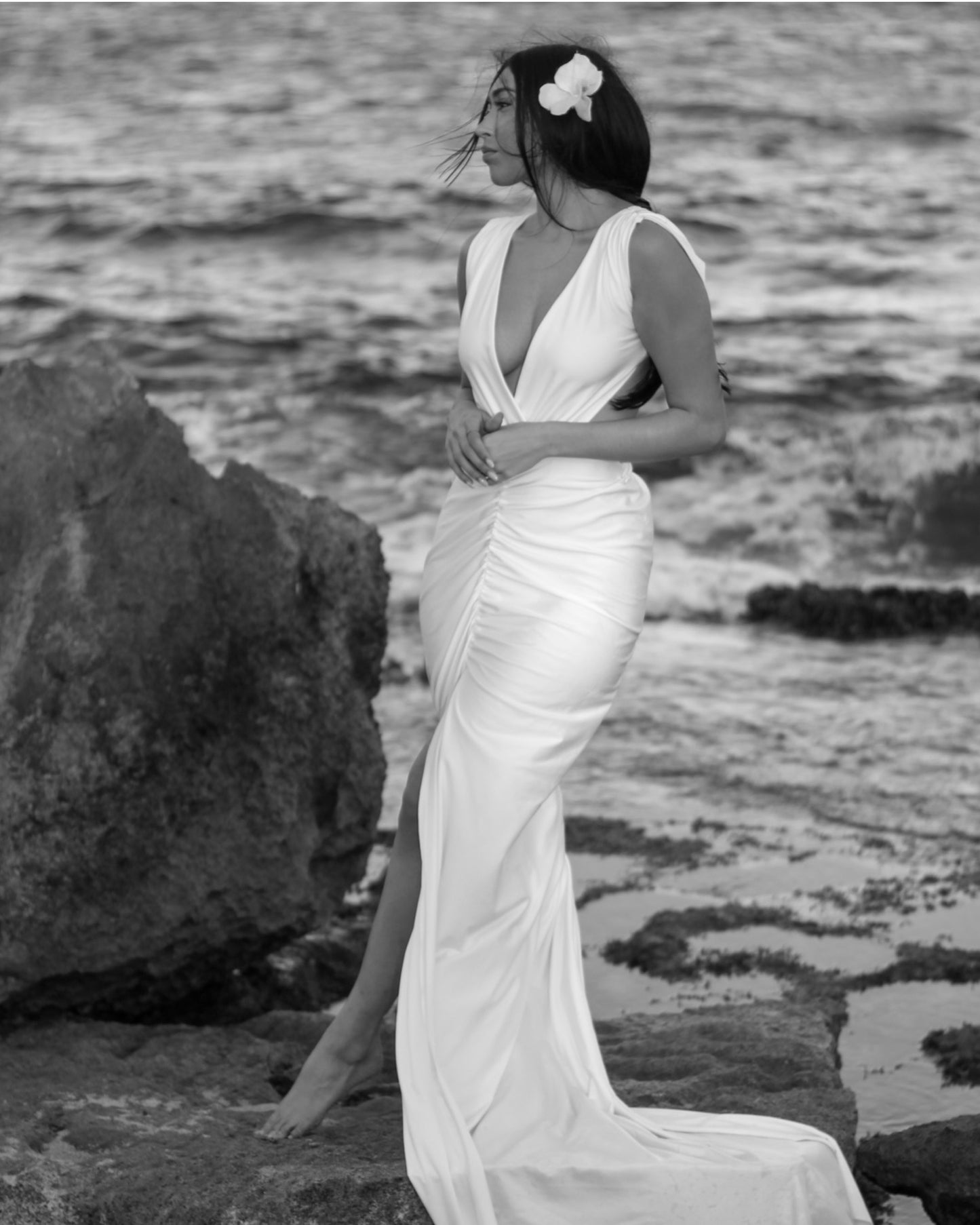 LONG TAIL FOGGIA DRESS